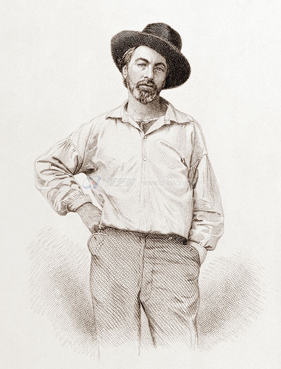 walt-whitman-4.jpg