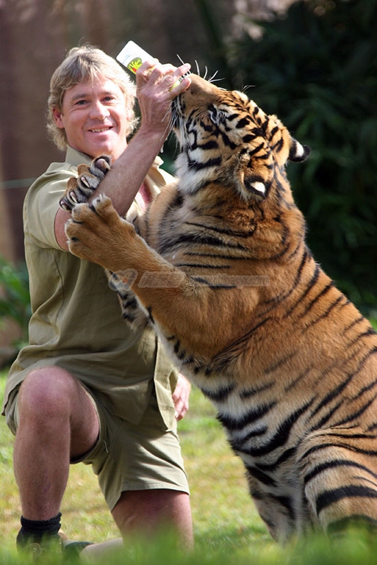 steve-irwin-2.jpg