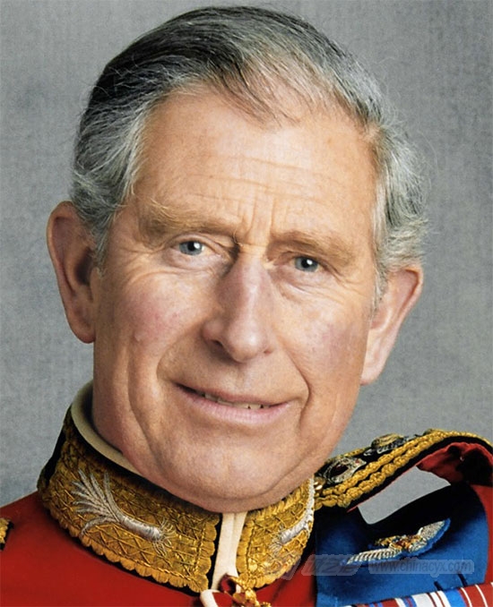 prince_charles_4.jpg