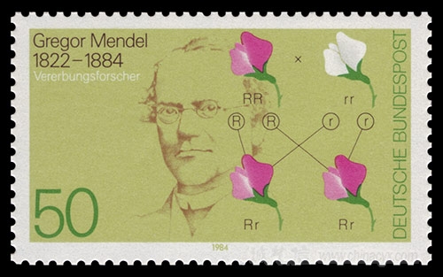 mendel-2.jpg