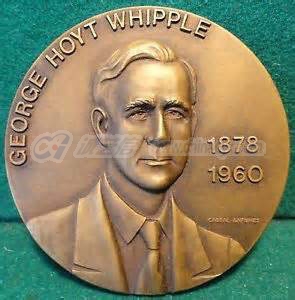 whipple-2.jpg