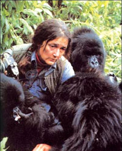 dian-fossey-4.jpg