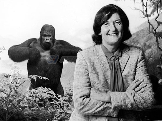 dian-fossey-6.jpg