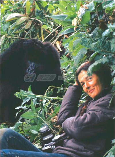 dian-fossey-3.jpg