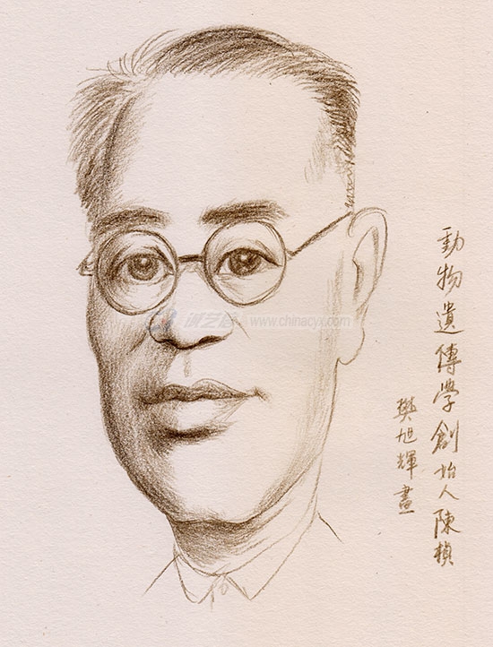 chenzhen-3.jpg