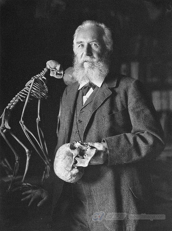 Haeckel-2.jpg